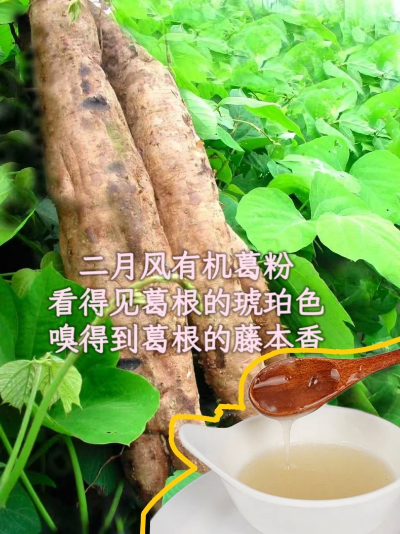 二月風(fēng)有機(jī)葛粉，看得見葛根的琥珀色，嗅得到葛根的藤本香_790.jpg