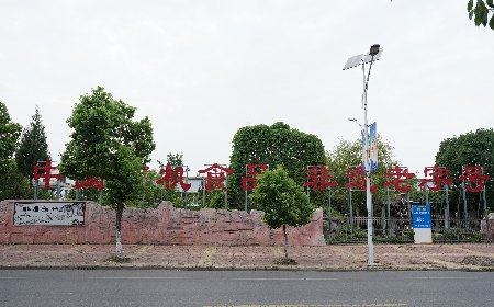 當(dāng)定制葛粉時(shí)，我們真正在選擇什么？