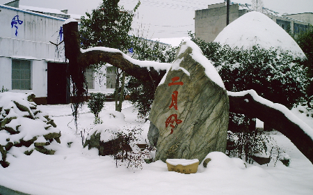 二月風(fēng)致老友：一碗葛根粉的牽掛，農(nóng)博會(huì)上的重逢之約二月風(fēng)盼老友：農(nóng)博會(huì)上，再續(xù)葛粉情緣