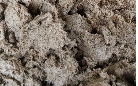 深入大洪山，只為一口純凈 -二月風(fēng)今冬野生葛根收購紀實